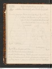 Seite 56, Tagebuch "Palästina (Tagebuch)" (NHMW-PRAE-BBB-80)